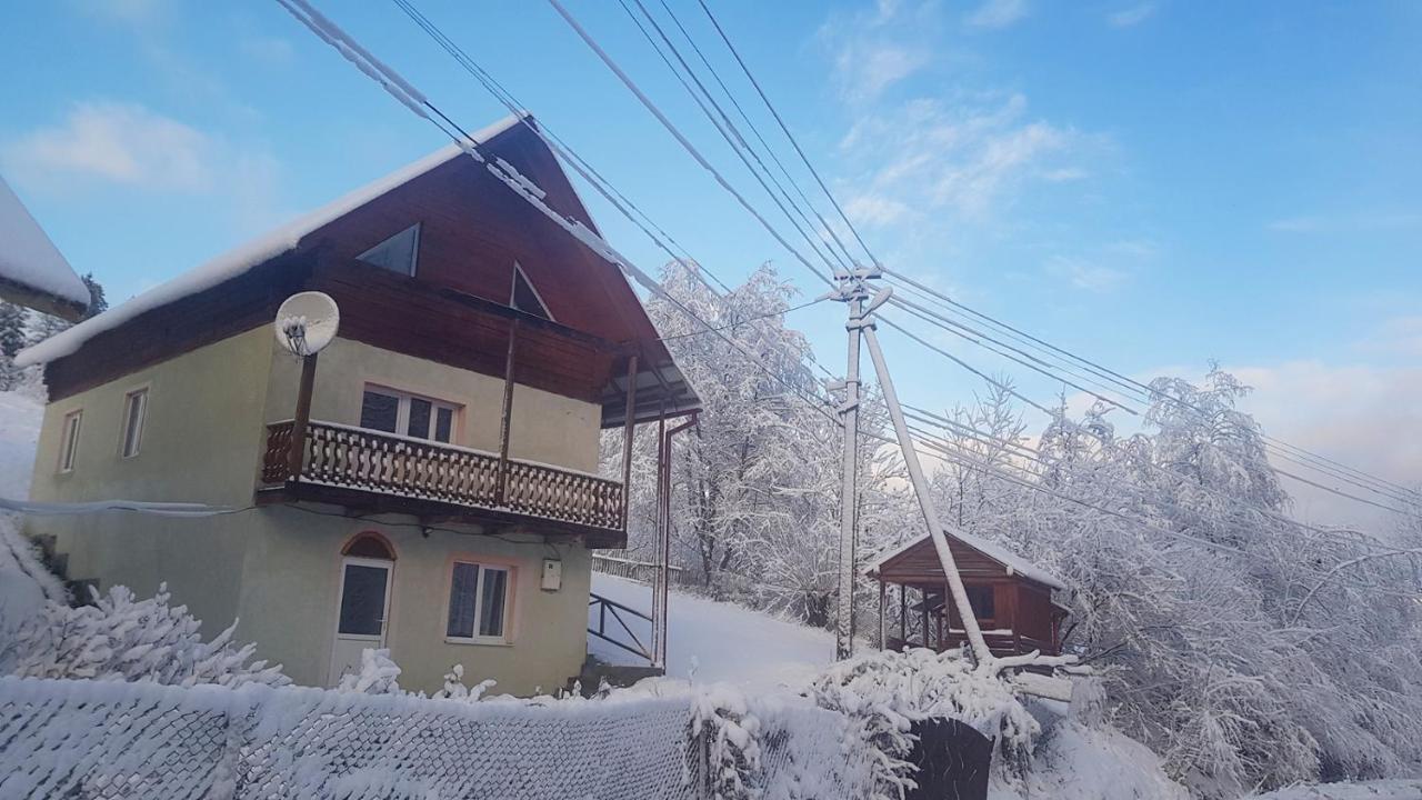 Apartament Карпатський Будинок Izki Zewnętrze zdjęcie