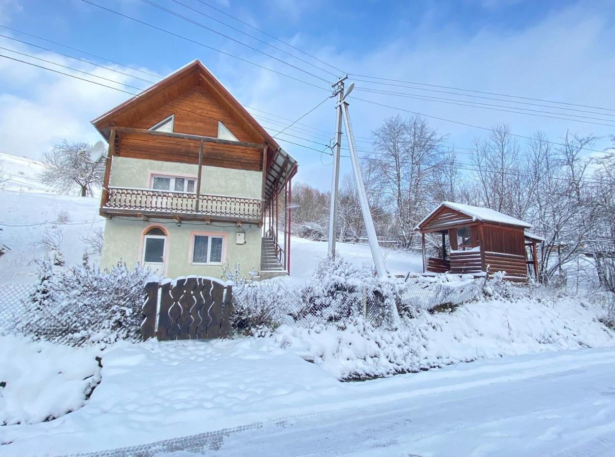 Apartament Карпатський Будинок Izki Zewnętrze zdjęcie
